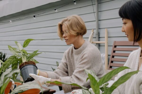 Tips for Creating a Relaxing Home Garden Space